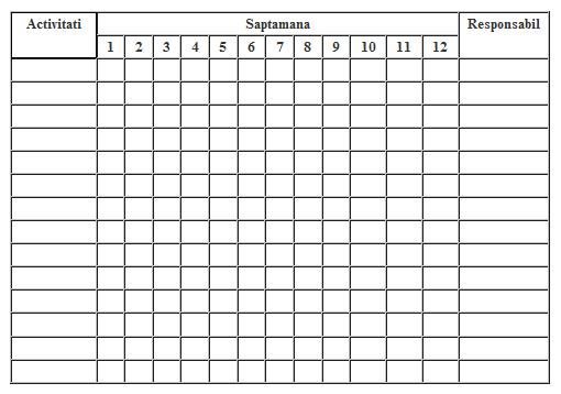 graficul_activitatilor_proiectului