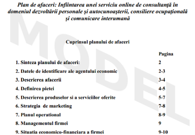 Model plan de afaceri firma de consultanta